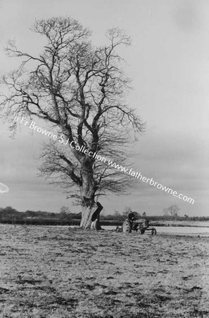 PREPARING FOR SOWING WHEAT WITH TRACTOR